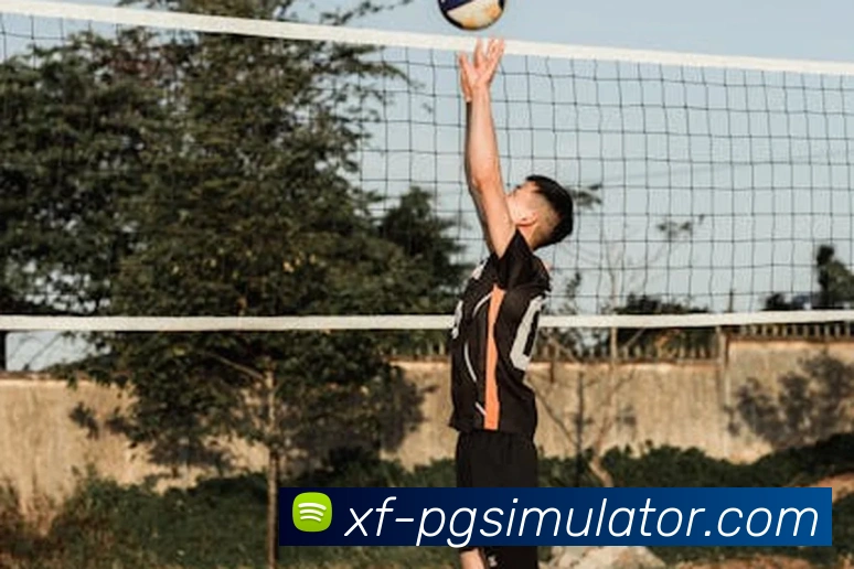 多媒体互动体验